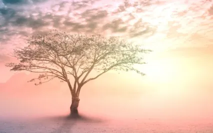 Cleansing Energy Transmission For Clairsentience