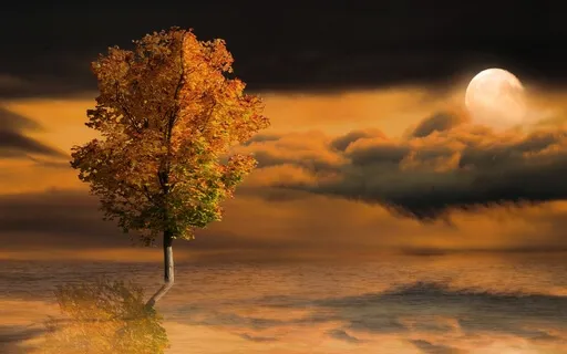 Cleansing Full Moon Meditation