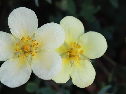 Cleansing, Nourishing Breath