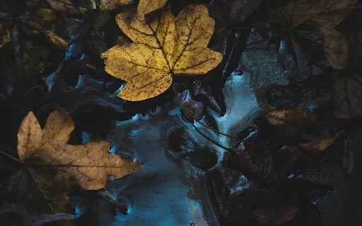 Cleansing Piano Soundscape To Release Tensions