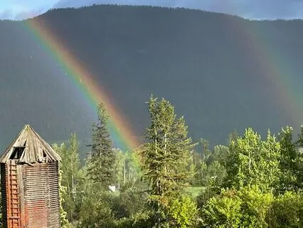 Cleansing Rain: Release & Renewal