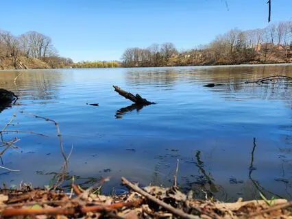Cleansing Release Meditation