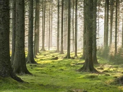 Cleansing The Body With Breath