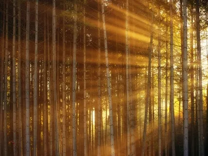 Cleansing The Chakras