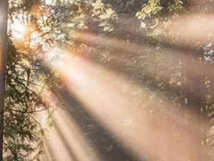 Cleansing The Digestive And Nervous Systems