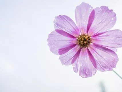 Cleansing Visualization To Release External Energy