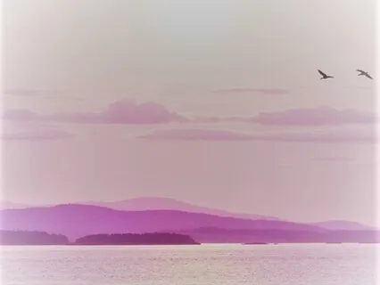 Cleansing Waterdrops