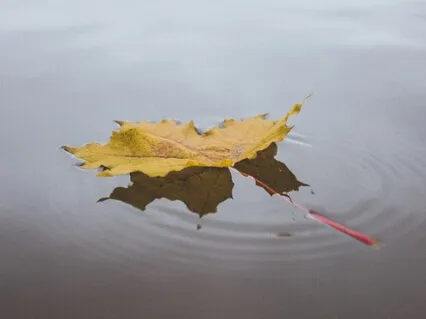 Cleansing Your Concerns With Alternate Nostril Breathing