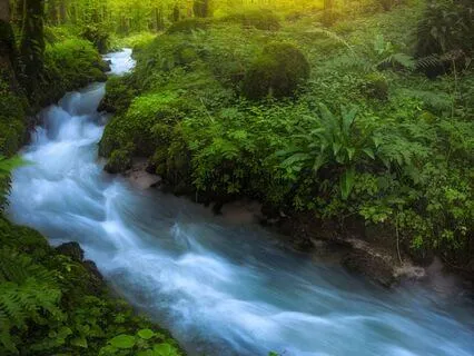 Clear And Calm Your Mind | Quiet The Noise