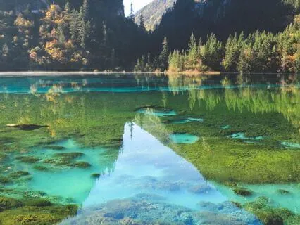 Clear And Connected: A Meditation For Focus