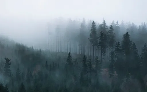 Clear Blockages And All Negative Thoughts (528Hz)