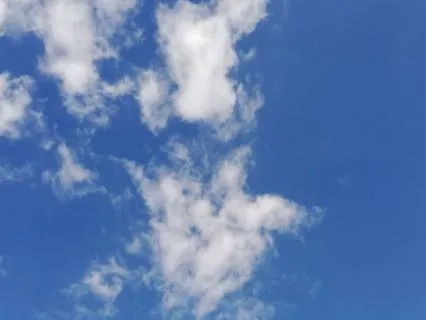 Clear Blue Skies