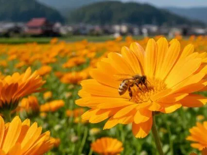 Clear Communication With Your Team