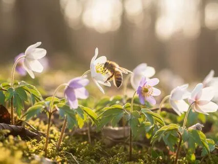 Clear Energy Drains And Improve Care For Your Team