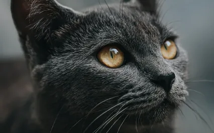 Clear Eyes, Full Heart