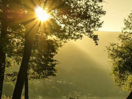 Clear Mind: Dispelling Mental Fog