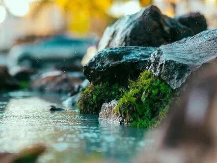 Clear Mind: Let Go Of Tension