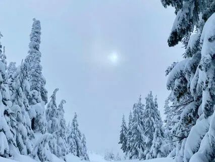 Clear Mind, Quiet Heart: Beta Waves For Soft Focus