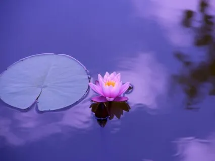 Clear Negative Energy