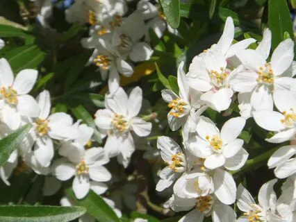 Clear Negative Thoughts Refocus - Reiki Infused