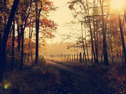 Clear Quartz Meditation For Clarity