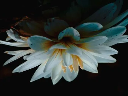 Clear & Remove All Negative Energy Around You