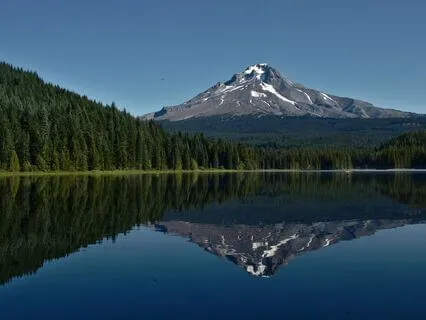 Clear Stress And Anxiety - Qigong Moving Meditation