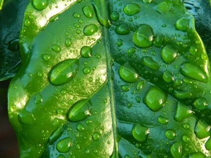 Clear The Fog | A Guide To Making Empowered Decisions