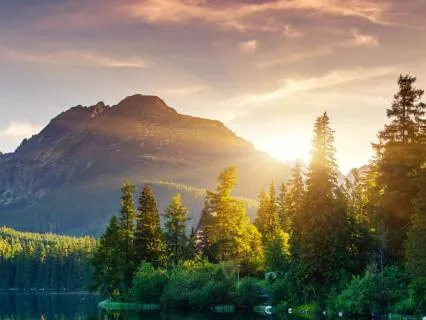 Clear the Mind (741 Hz Reset)