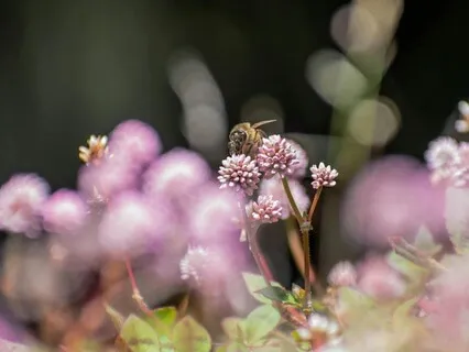 Clear The Noise.  Come Back To You.