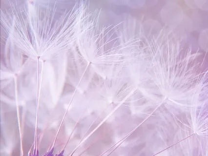 Clear The Past | Practical Tool For Healing, Clearing Painful Memories, And Forgiveness