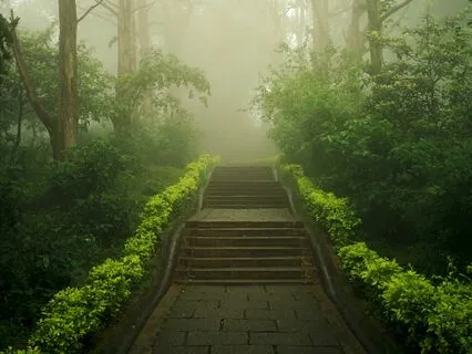 Clear The Space And Start Fresh