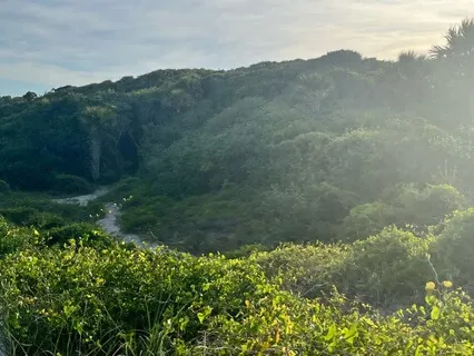 Clear The Way For What You Want Meditation