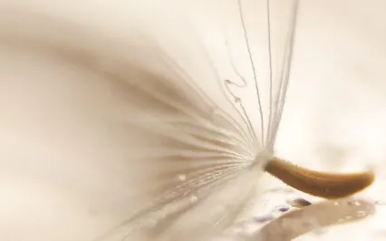 Clear Thought Yoga Nidra