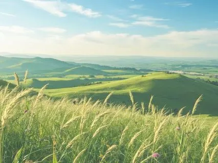 Clear Wind For Relaxation