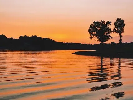 Clear Your Busy Mind