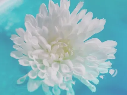 Clear Your Energy - Morning Mindfulness