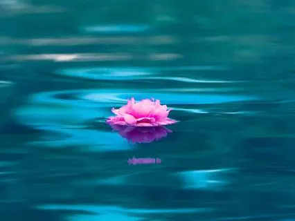 Clear Your Mind (741 Hz)
