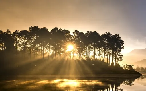 Clear Your Mind And Create The Energy To Manifest