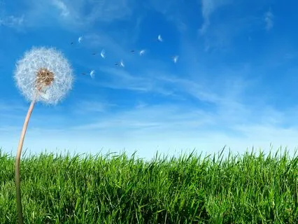 Clear Your Mind of Negative Thoughts