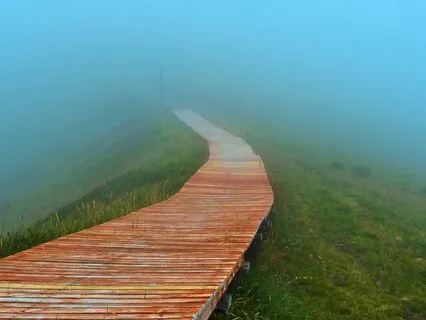 Clear Your Path For Positive Energy And Possibilities