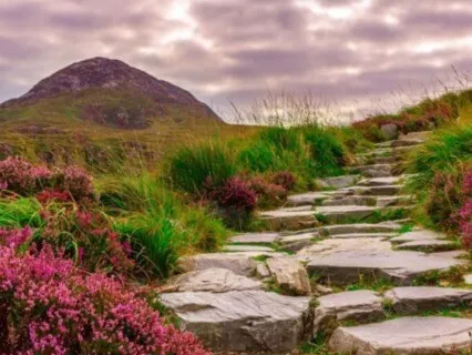 Clear Your Subtle Energy Bodies - "Time For You" - #1