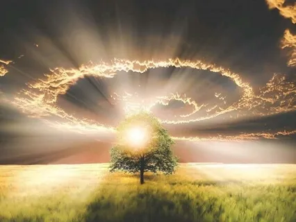 Clearing A Path Forward Visualization