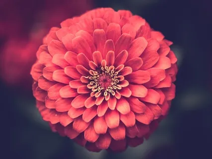 Clearing & Healing The Heart