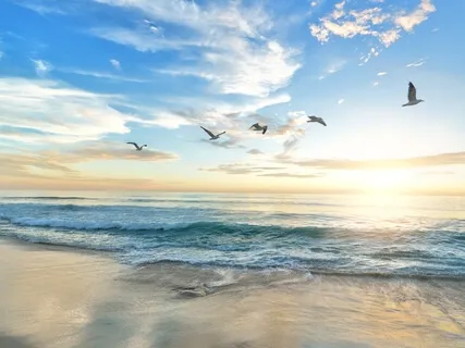 Clearing And Letting Go (29th Of December)