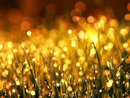 Clearing, Cleansing And Protection Meditation