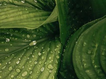 Clearing Emotional Clutter