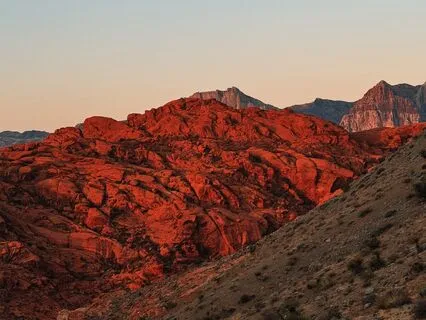 Clearing For Forward Vision