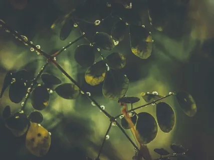 Chakra Balancing Music: Clearing Grief Or Sadness