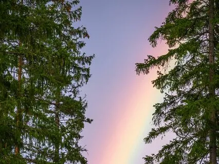 Clearing Heavy Energy from Your Chakras With Tuning Forks